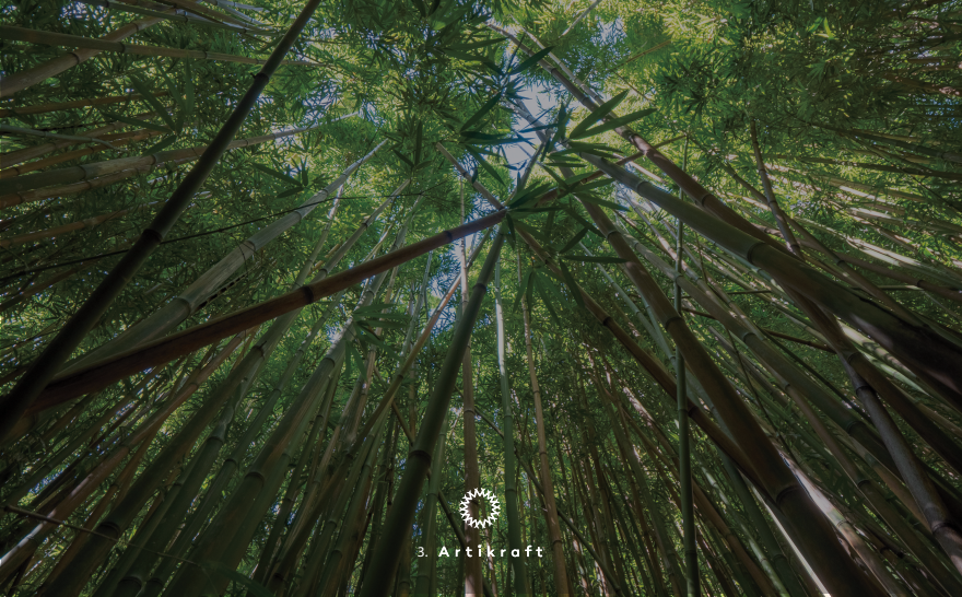 bamboo
